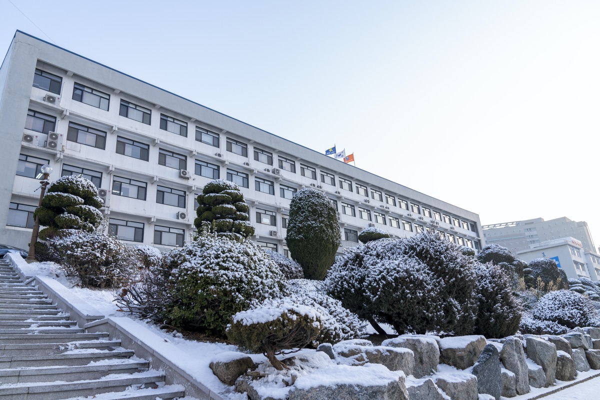 새하얗게 물들인 인하공전 대표이미지